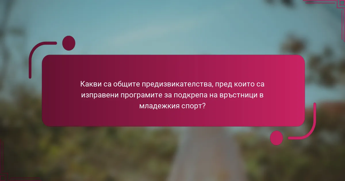 Какви са общите предизвикателства, пред които са изправени програмите за подкрепа на връстници в младежкия спорт?