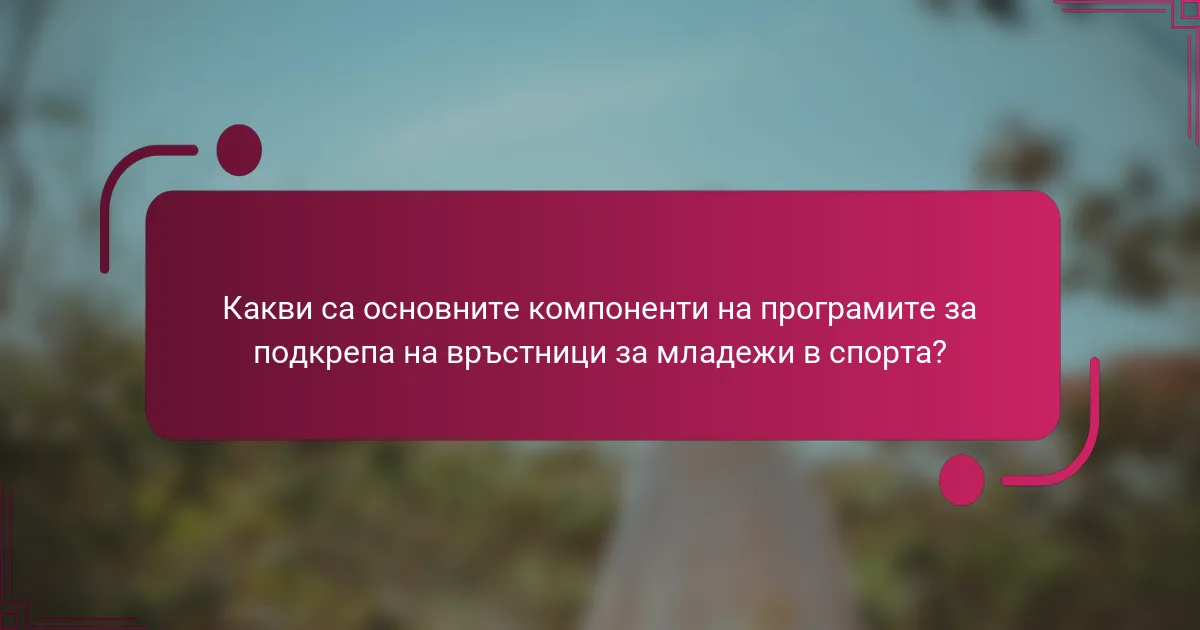 Какви са основните компоненти на програмите за подкрепа на връстници за младежи в спорта?