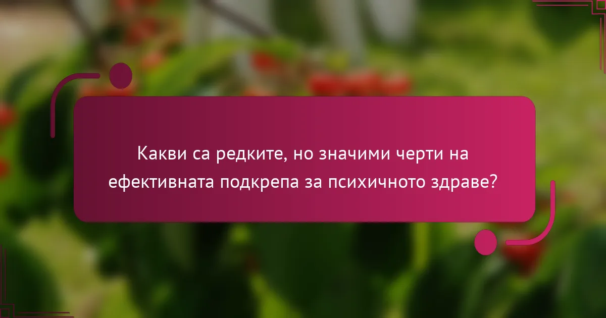 Какви са редките, но значими черти на ефективната подкрепа за психичното здраве?