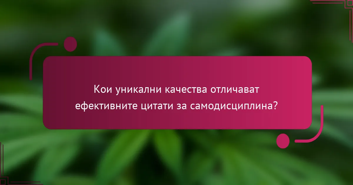 Кои уникални качества отличават ефективните цитати за самодисциплина?